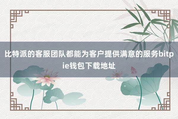 比特派的客服团队都能为客户提供满意的服务bitpie钱包下载地址