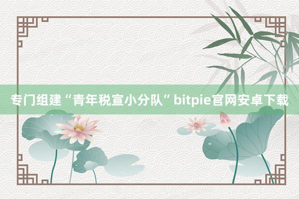 专门组建“青年税宣小分队”bitpie官网安卓下载