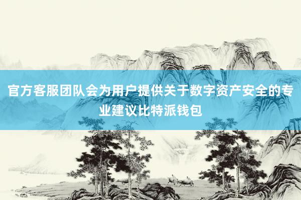 官方客服团队会为用户提供关于数字资产安全的专业建议比特派钱包