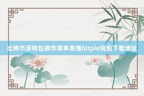 比特币派钱包操作简单易懂bitpie钱包下载地址