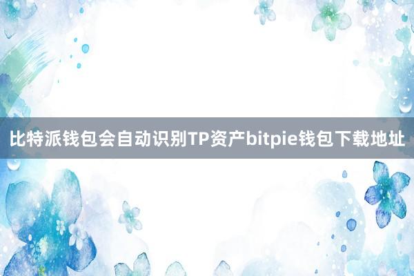 比特派钱包会自动识别TP资产bitpie钱包下载地址