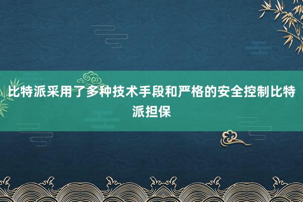 比特派采用了多种技术手段和严格的安全控制比特派担保