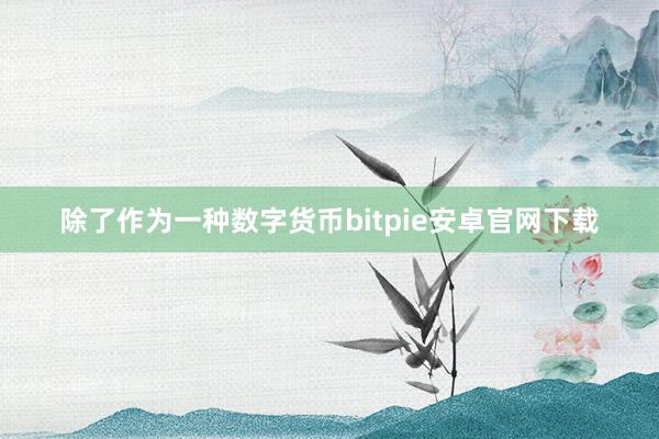 除了作为一种数字货币bitpie安卓官网下载