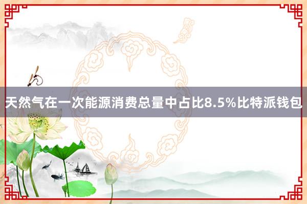 天然气在一次能源消费总量中占比8.5%比特派钱包