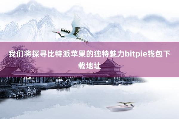 我们将探寻比特派苹果的独特魅力bitpie钱包下载地址