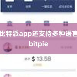 比特派app还支持多种语言bitpie