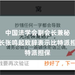 中国法学会副会长兼秘书长张鸣起致辞表示比特派担保