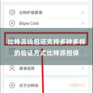 比特派钱包还支持多种多样的验证方式比特派担保