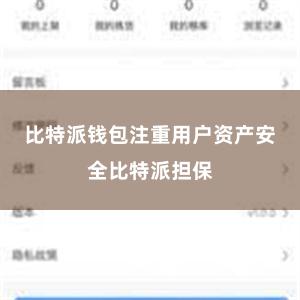 比特派钱包注重用户资产安全比特派担保